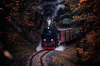 Harz smalspoor in de herfst