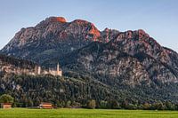 Alpenglow at Neuschwanstein Castle