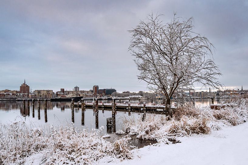 Blick über die Warnow auf die Hansestadt Rostock im Winter von Rico Ködder