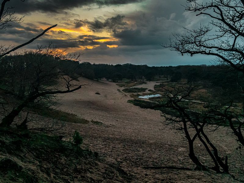Sunset on sand drift Bedaf by Moniek van Rijbroek