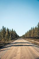 Sand Road in Swedish Lapland