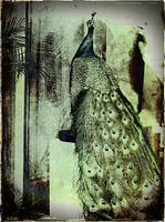 Feathers in a Palace