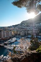 Modern harbour view | a trip through Monaco