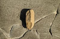 Stone Shadow