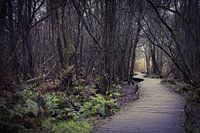 Moerputten 's-Hertogenbosch