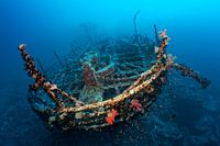 Aida shipwreck, Brother Islands, Egypt