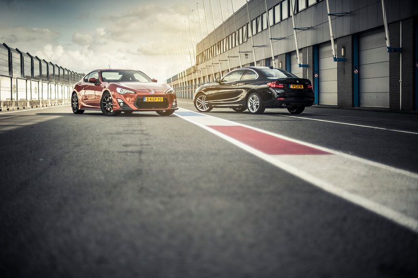 Combat de coqs par Sytse Dijkstra