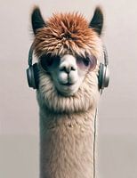 Alpaca listens to music