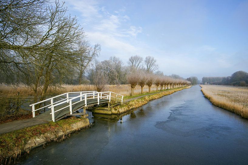 Winter in de polder by Alice Berkien-van Mil