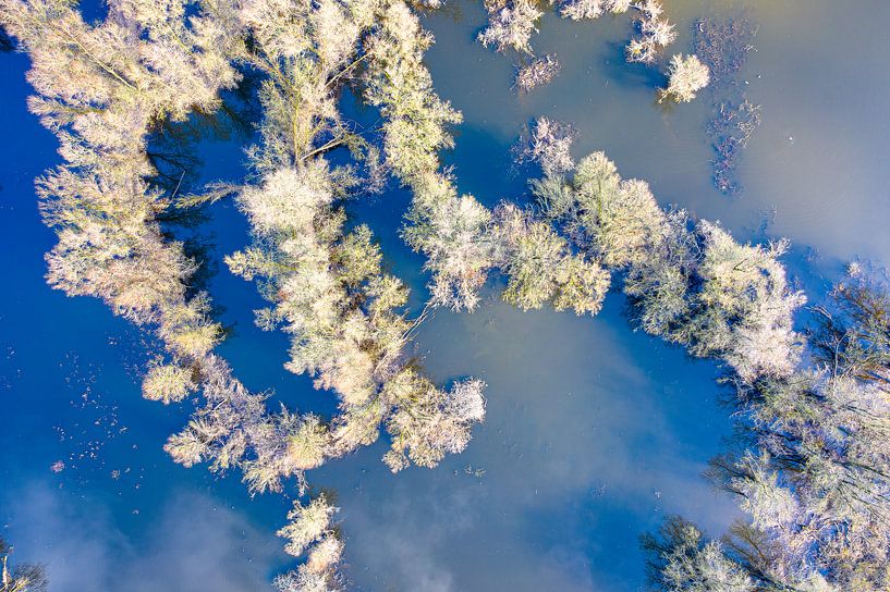Réflexions dans la plaine inondable de Millingerwaard par Jeroen Kleiberg