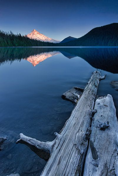 The shining mountain Mount Hood in Oregon USA at Mirror Lake. by Voss photography