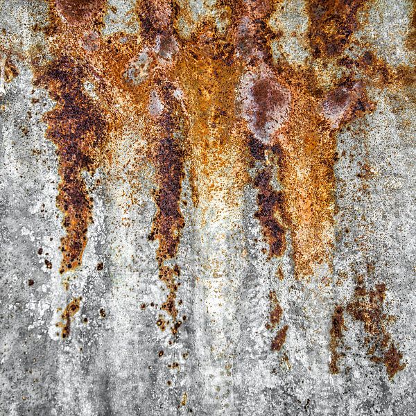 Oergrond - Verval en Verstilling van Hans Kwaspen