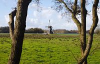 Dutch windmill