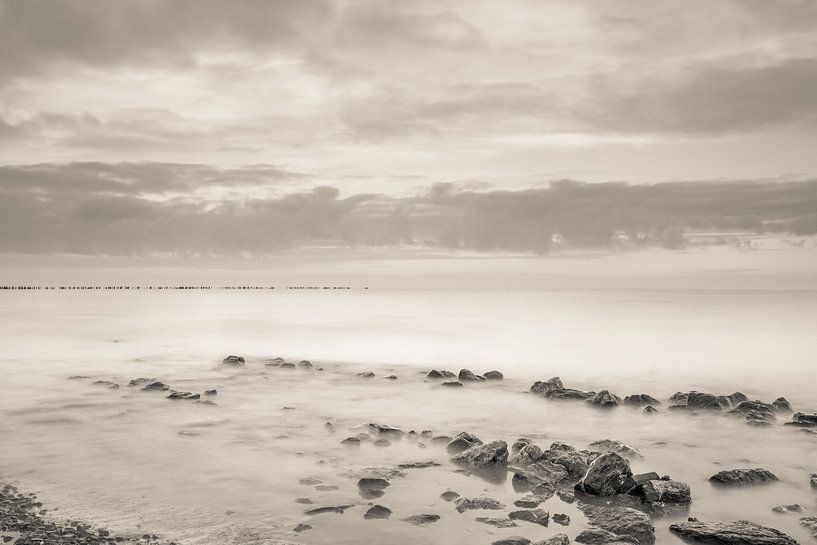 Les belles vasières.... par Goffe Jensma