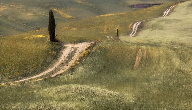 Returning Path par Lars van de Goor