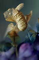 Floating on purple waves