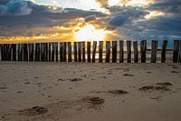 Posts on the beach in Zeeland