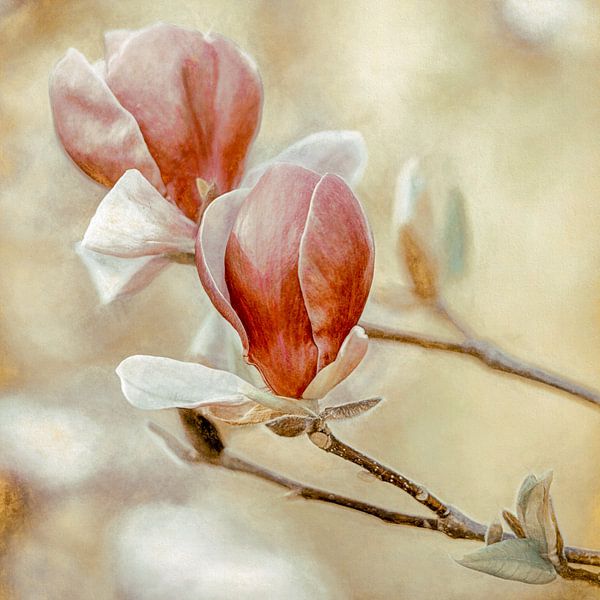 Blooming Hearts Quadrat von Lars van de Goor