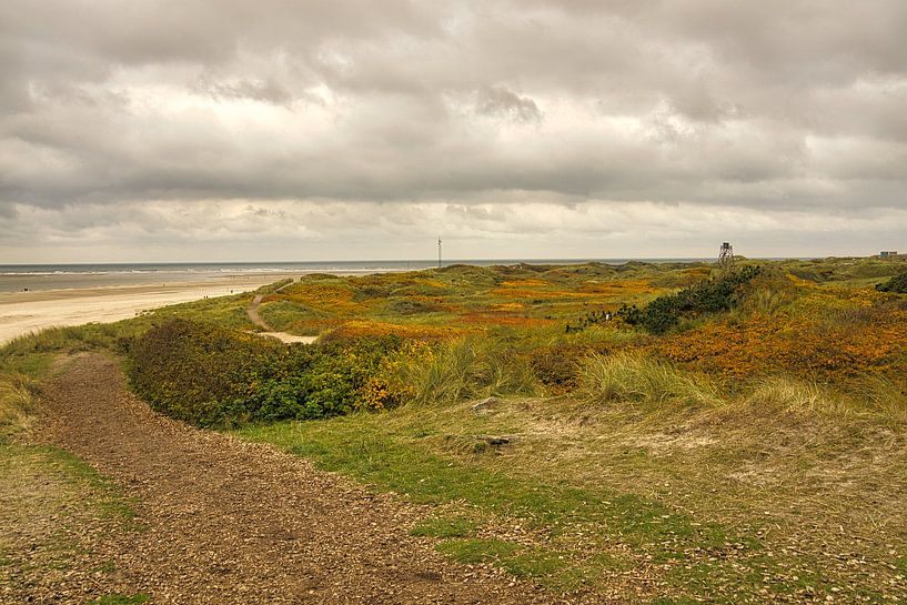 Blåvand dunes landscape in Denmark at the North Sea by Martin Köbsch