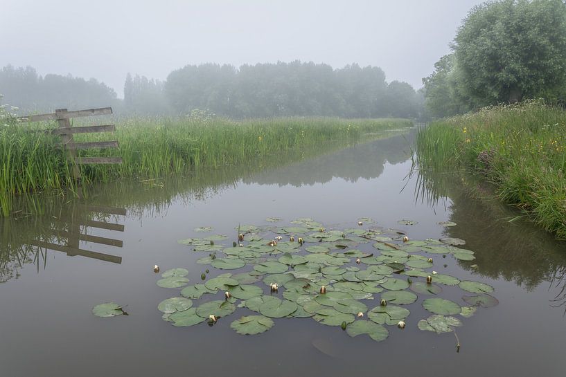 Polderpark Cronesteyn, Leiden by Carla Matthee
