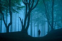 Kun je even stilstaan?