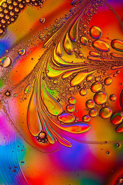 Wilde Farben von Ellen Pruiksma