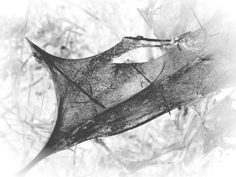 Caterpillar 9 par Jon Houkes