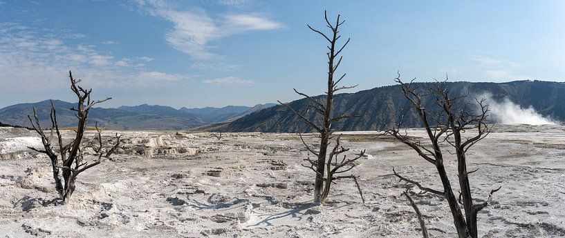 Mammoth Hot Springs, Yellowstone National Park, USA by Jeroen van Deel
