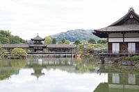 L'un des jardins de practhitg de Kyoto au Japon