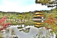 Temple d'or de Kyoto