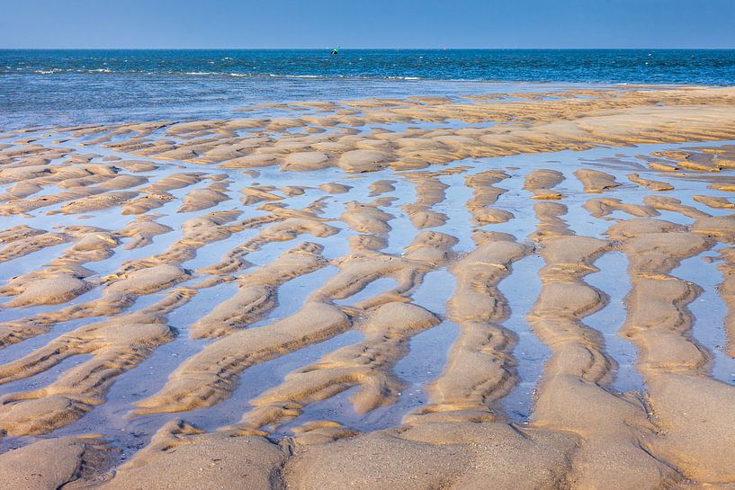 paysage de vasières dans la réserve naturelle d'Ellenbogen, Sylt par Christian Müringer