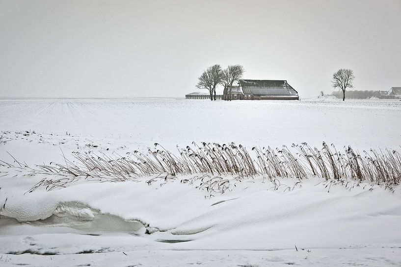 Einsamer Bauernhof im Schnee in Groningen von Frans Lemmens