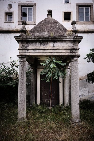 Die Natur schlägt zurück 2 von Karel Ham