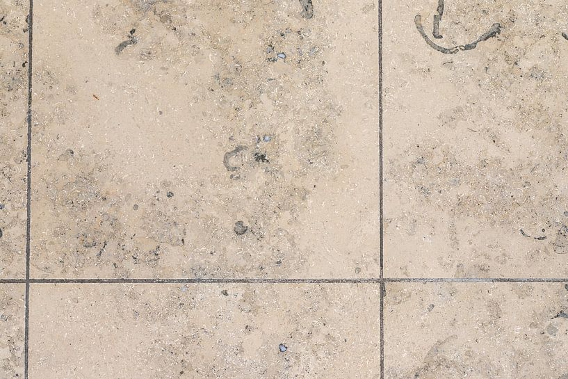 Marbleized limestone beige famous Jurassic marble. by de-nue-pic