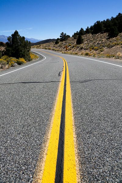 Road to nowhere by Marit Lindberg