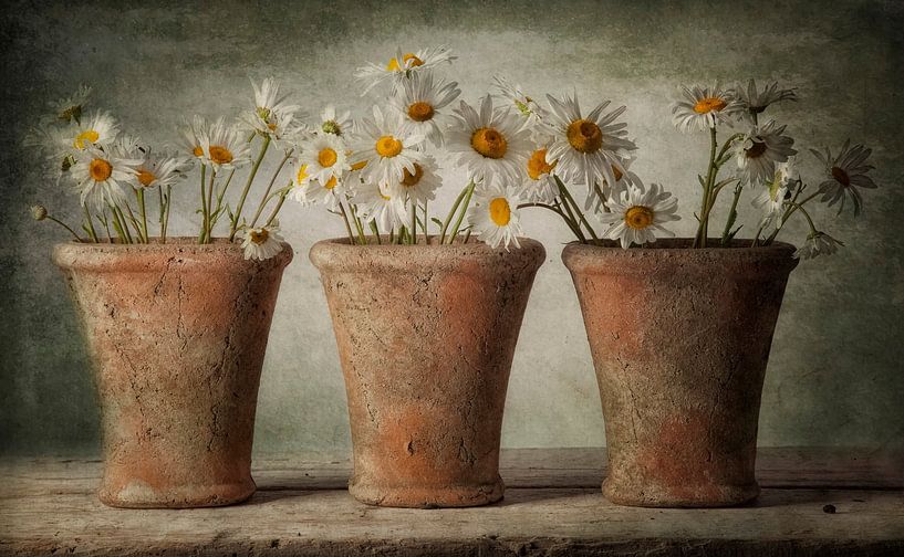 Still life 41 by jejaka art