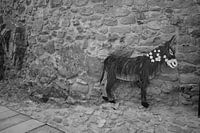 Impressions sur l'Espagne et le Portugal 8