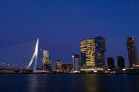 Rotterdam de nuit