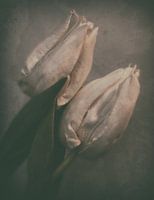 Liebe auf den ersten Blick ...