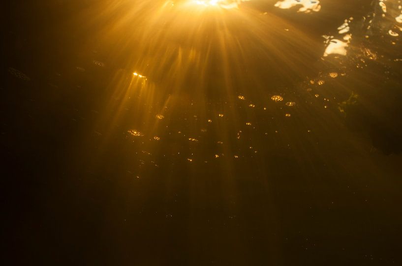 zonsondergang onderwater by Annelies Cranendonk