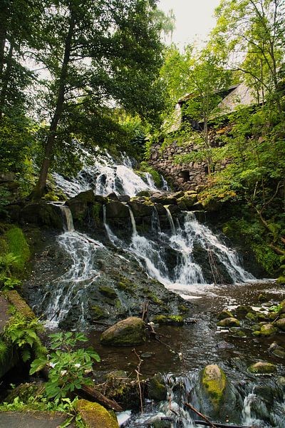 Kleiner Wasserfall im Wald mit Moos auf Steinen von Martin Köbsch