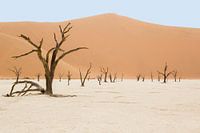 Deadvlei Namibia