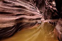 USA 2013, Buckskin Gulch (near Coyote Buttes)