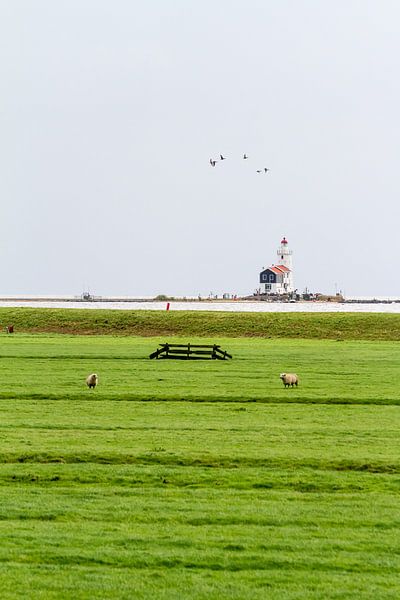 The Horse of Marken by Marcel Derweduwen