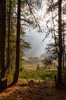 Doorkijkje in de Phobjikha Vallei