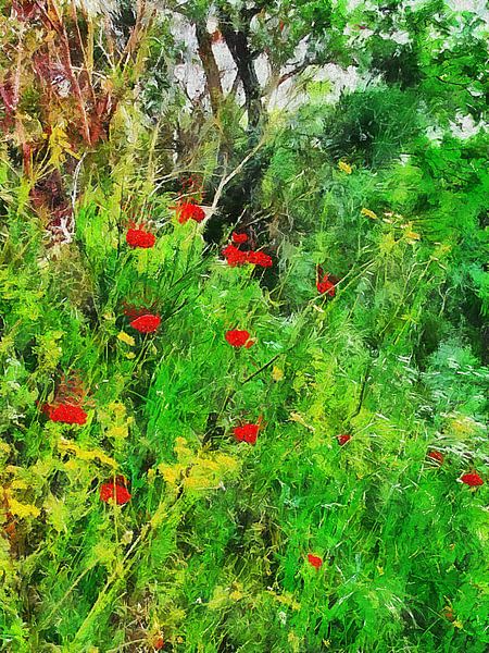 Wildblumen am Rande des Waldes von Dorothy Berry-Lound