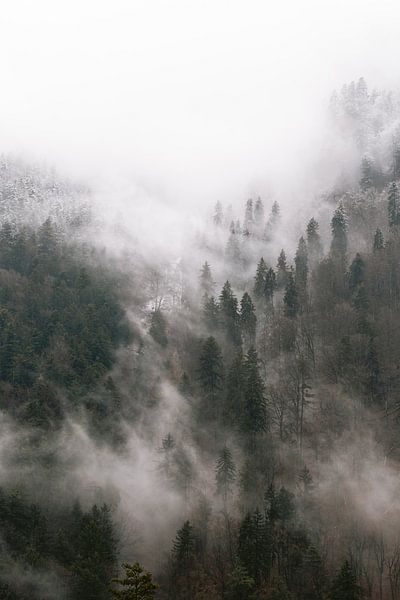 In den Armen des Nebels von Marika Huisman fotografie