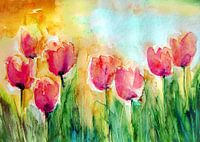 Abendstimmung im Tulpengarten