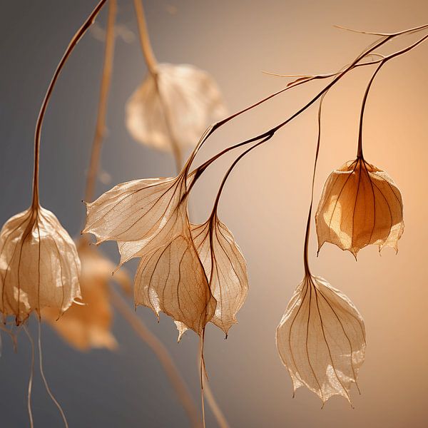 Nature's Soft Refrains: Dried Seeds in Melody by Karina Brouwer