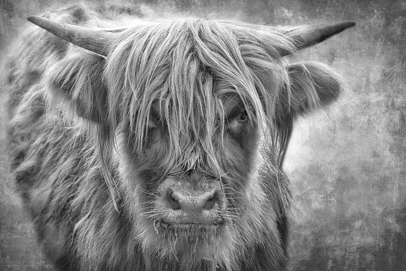 Le petit garçon par Claudia Moeckel